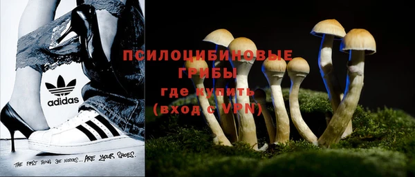 МДПВ Армянск